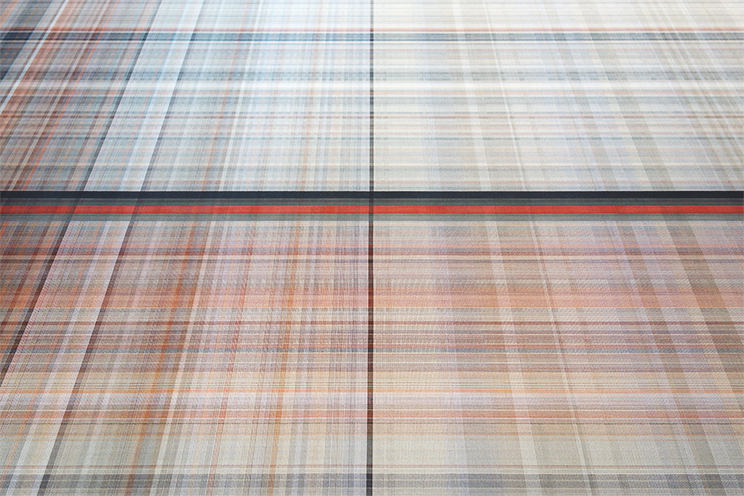 homograph detail